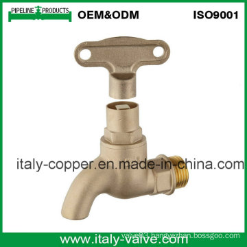 5year Quality Guarantee Brass Casting Tap (AV2048)